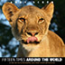 Fifteen Times around the World