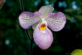 portfolio image thumbnail